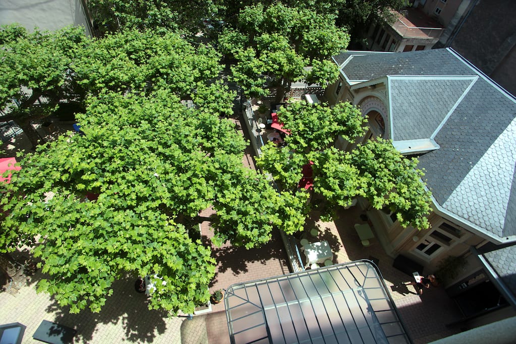 terrasse-ombragee