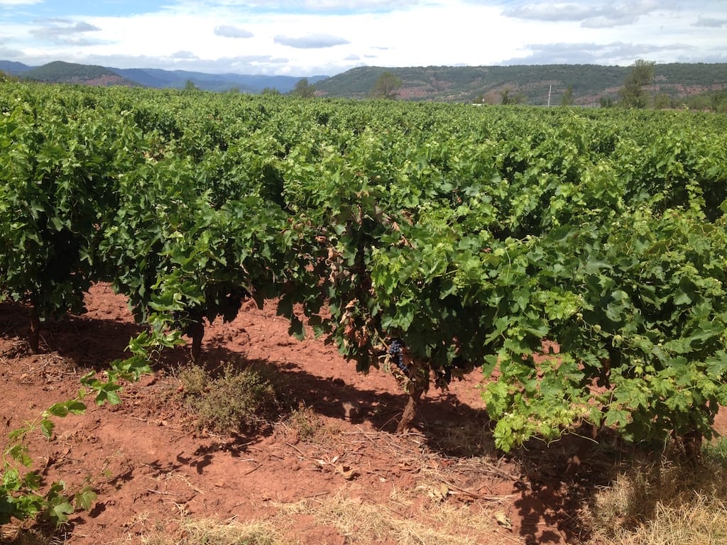 Languedoc-vins