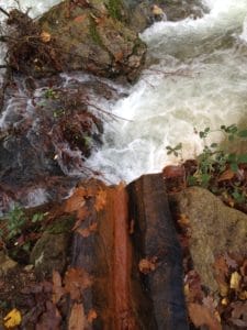 Les sources ferrugineuses sont nombreuses dans le massif de l'Espinousse.